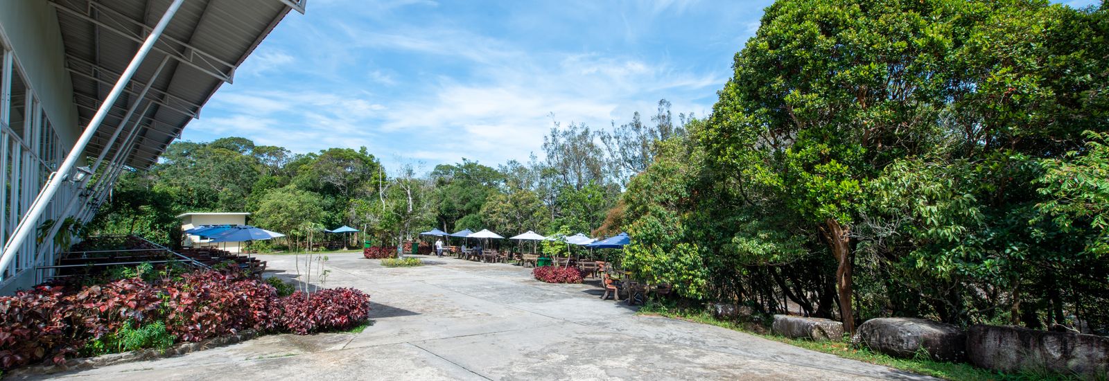 WaterFall Restaurant Outdoor